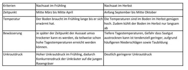 Rasennachsaat Tabelle