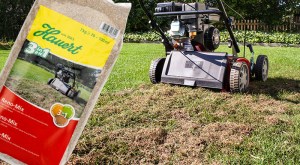 Reno-Mix gestreut - wässern nicht vergessen - Hauert Rasenblog