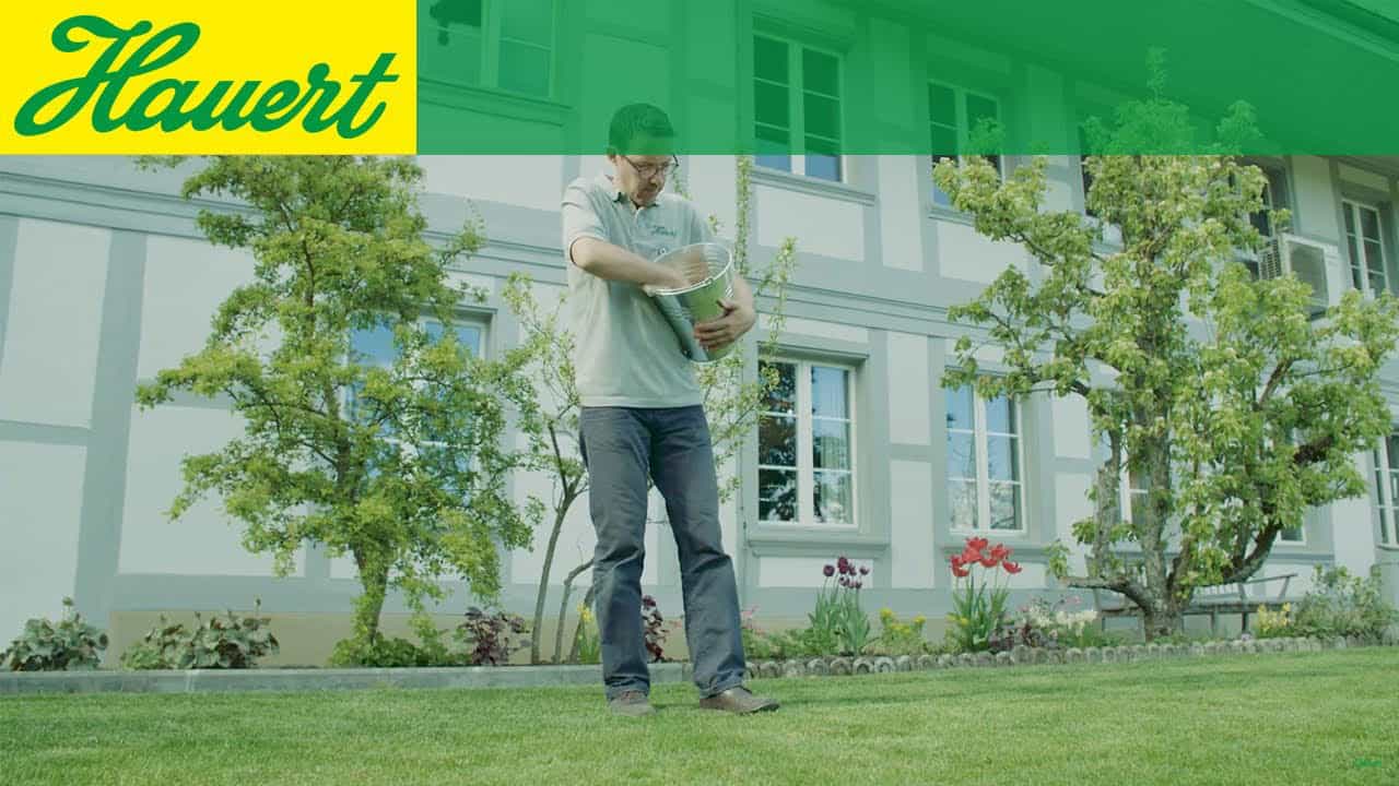 Rasendünger von Hand streuen - Hauert Rasenblog