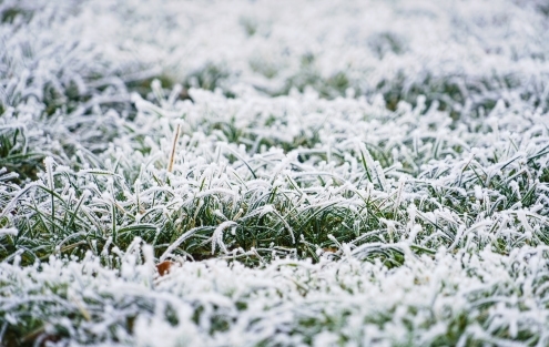 Frost im Rasen