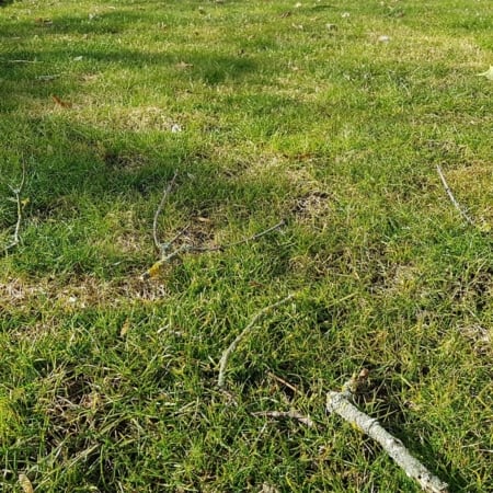 Start in die neue Rasensaison mit Geistlich Turbo Rasendünger - Hauert