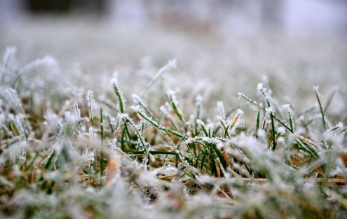 Rasein im Winter