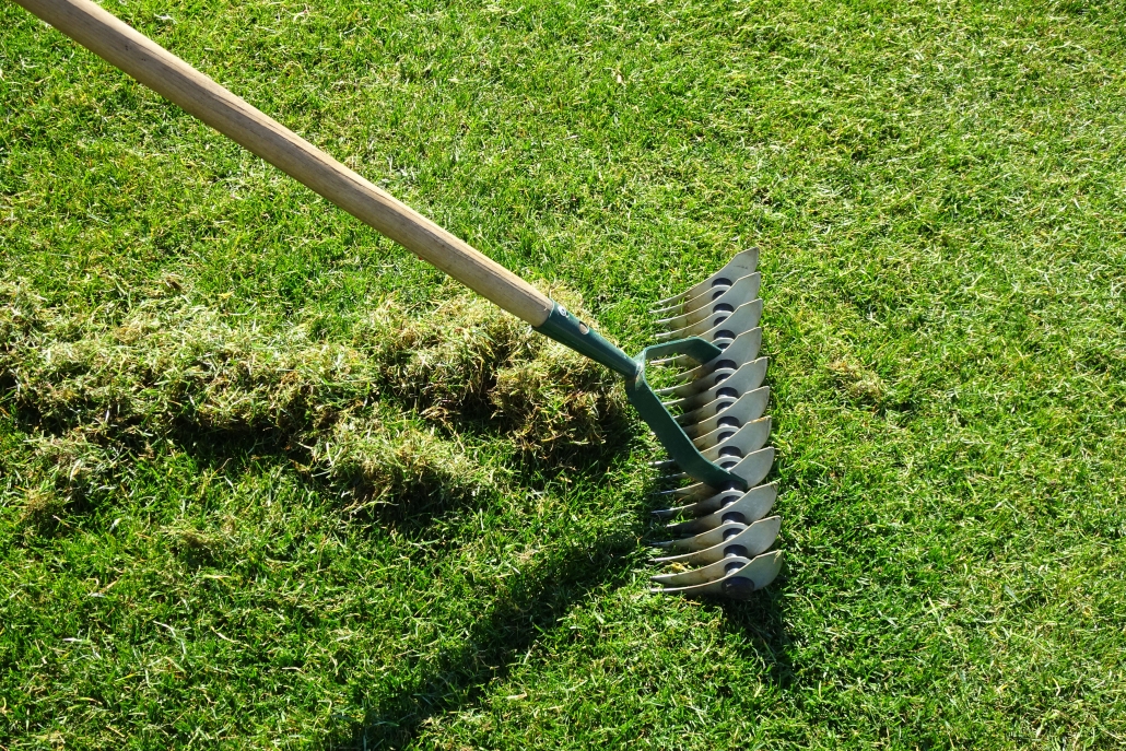 "Corona-Rasenpflege" Striegeln und nicht Vertikutieren - Hauert Rasenblog