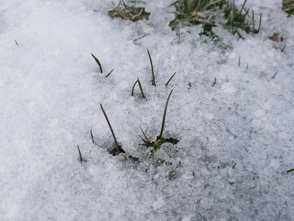 Pneu Egger - Dieser Winter ❄️⛄ könnte mal wieder richtig